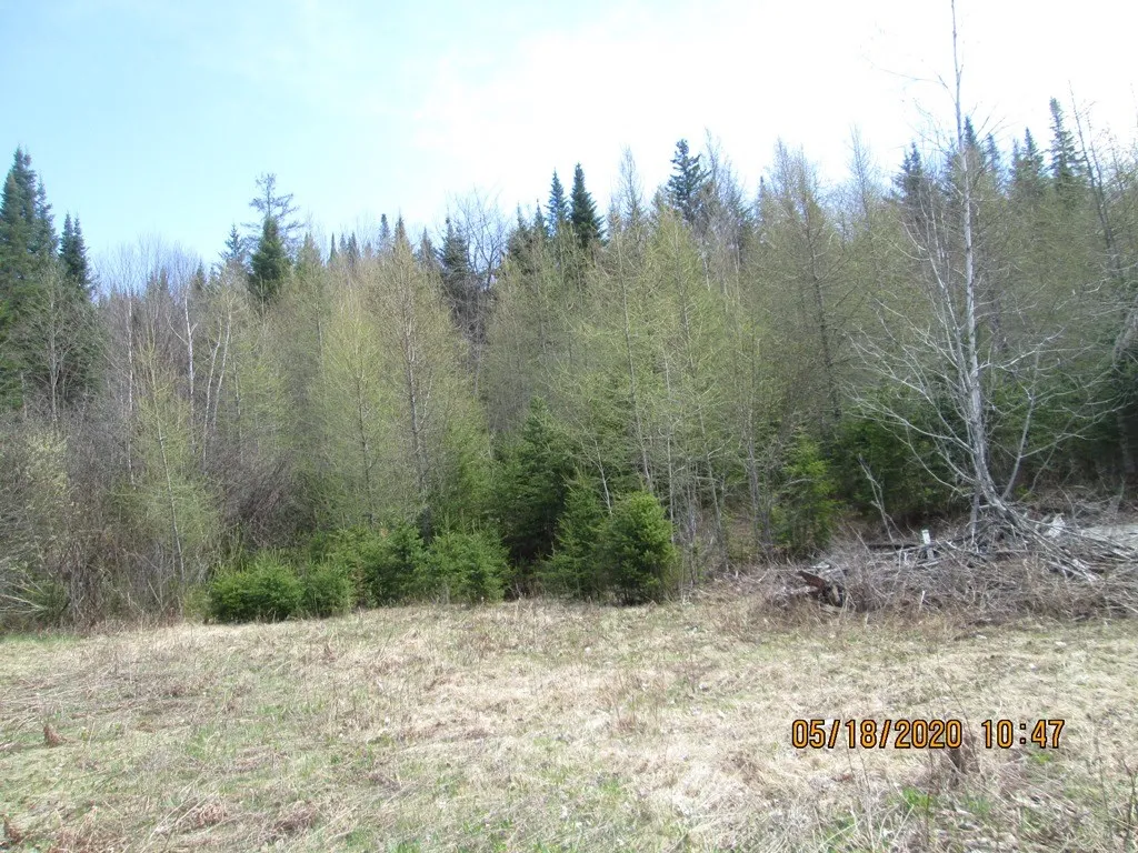10787 Reservoir Road Canaan VT 05903