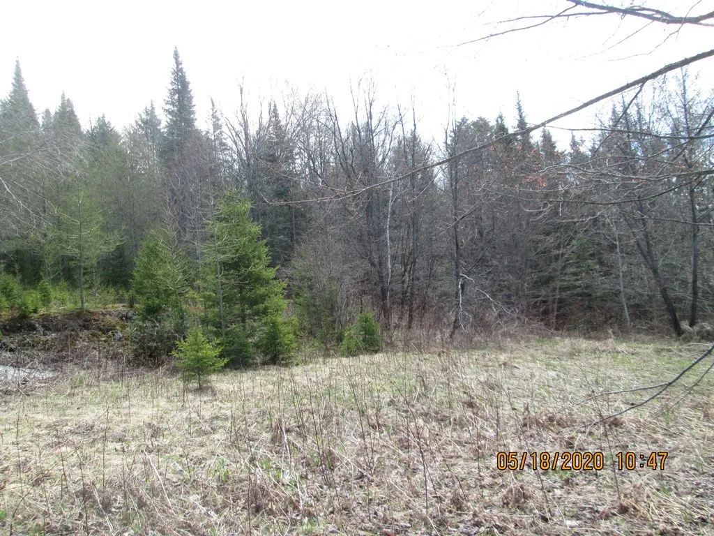 10787 Reservoir Road Canaan VT 05903