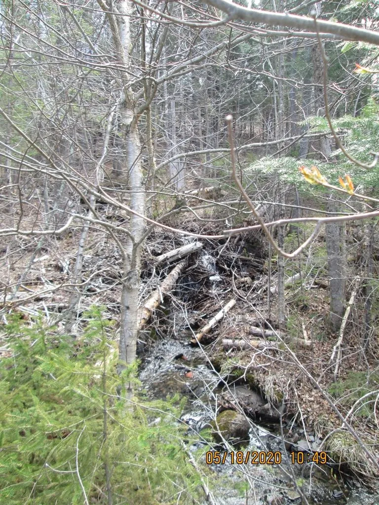 10787 Reservoir Road Canaan VT 05903
