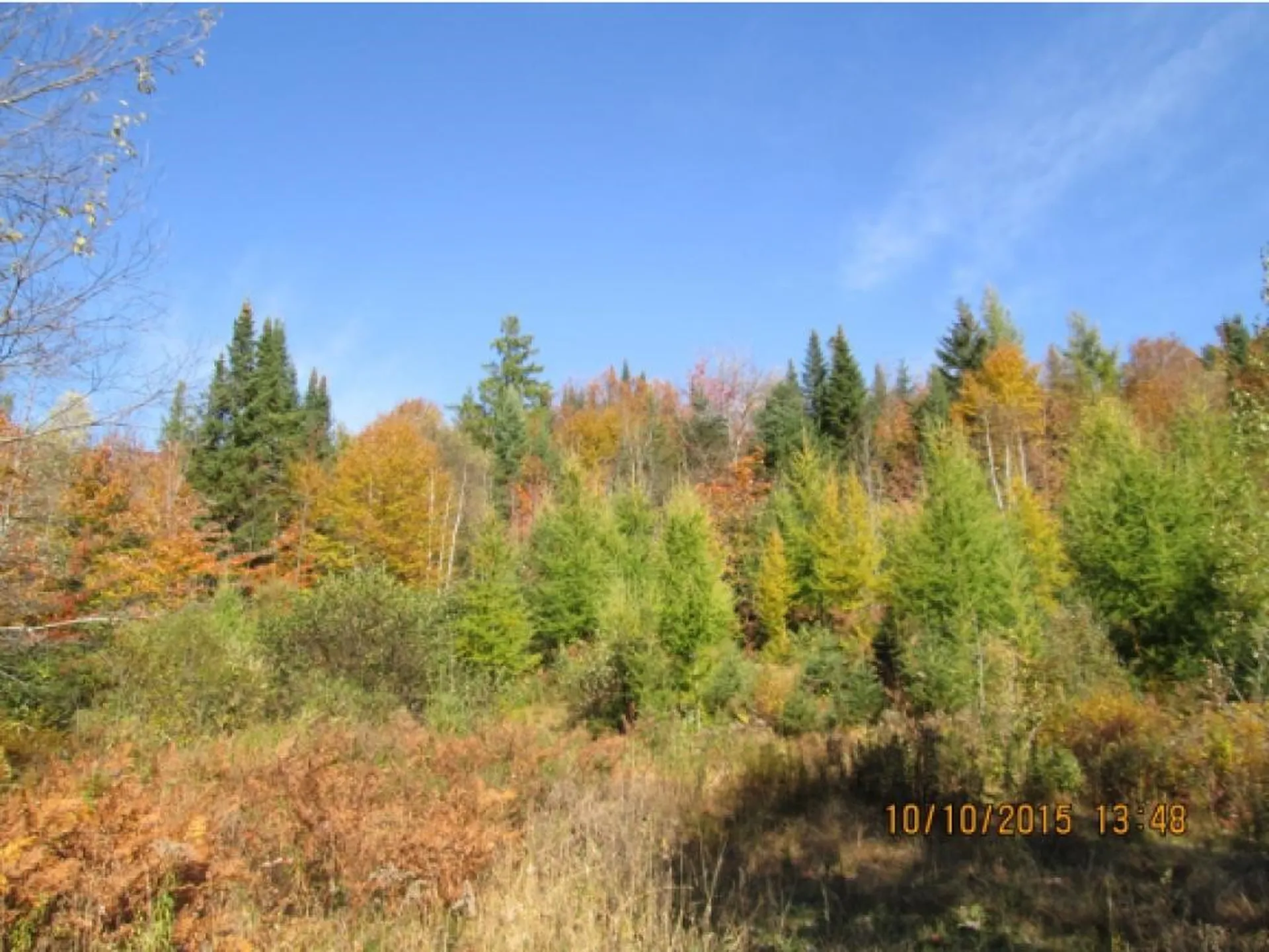 10787 Reservoir Road Canaan VT 05903