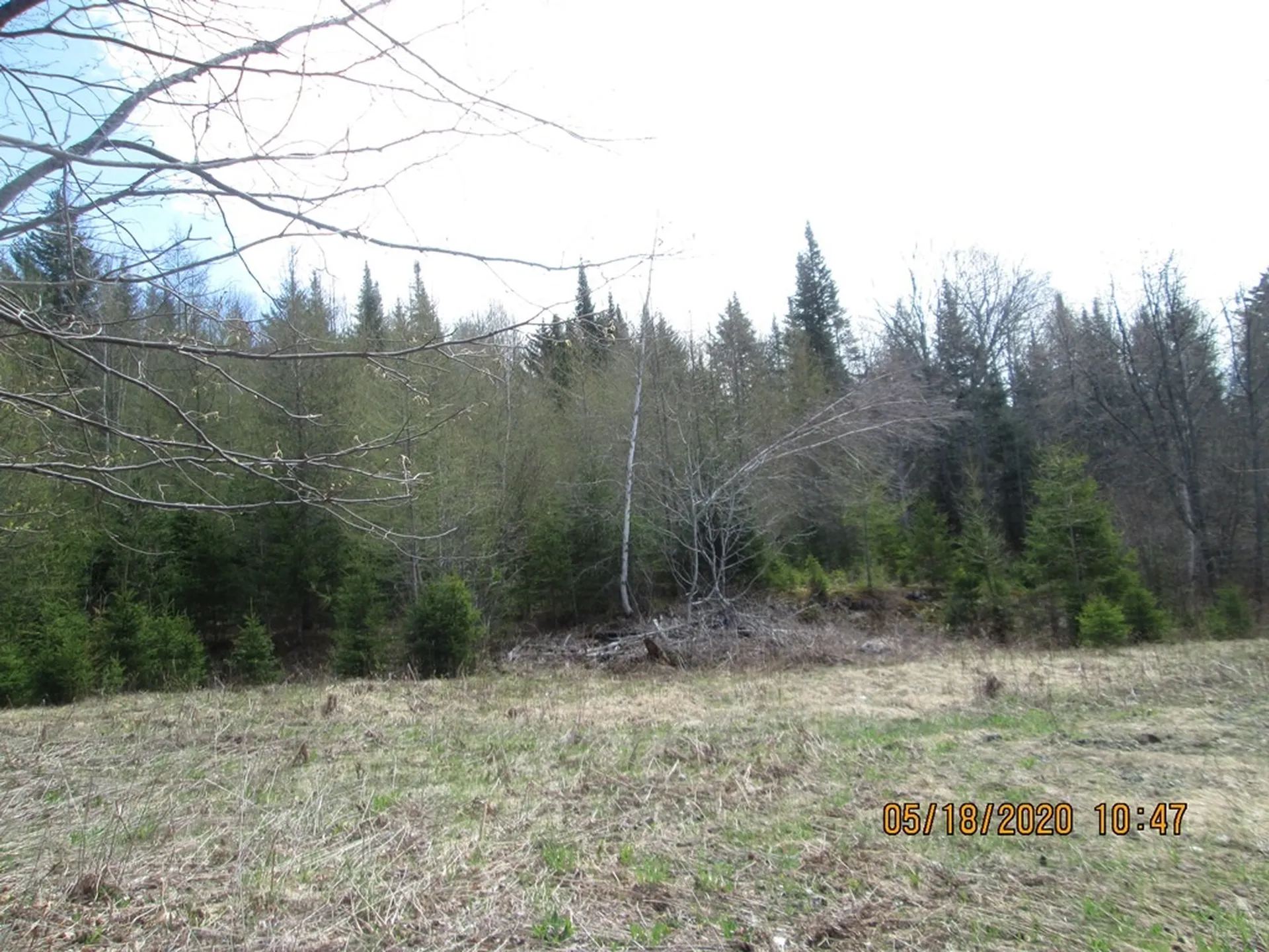 10787 Reservoir Road Canaan VT 05903