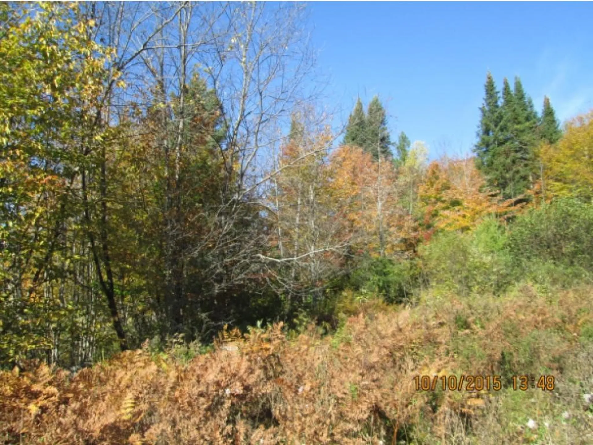 10787 Reservoir Road Canaan VT 05903