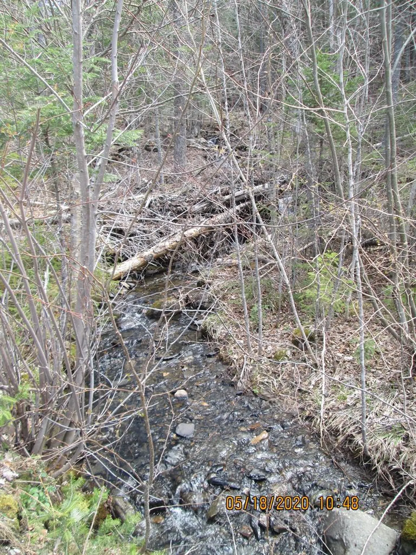 10787 Reservoir Road Canaan VT 05903