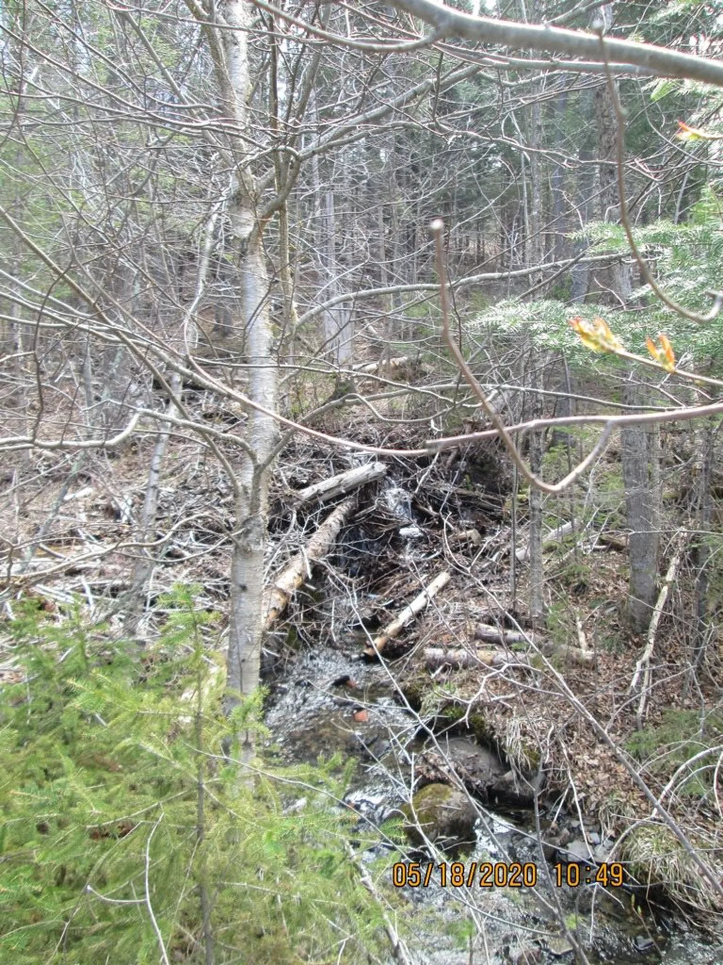 10787 Reservoir Road Canaan VT 05903