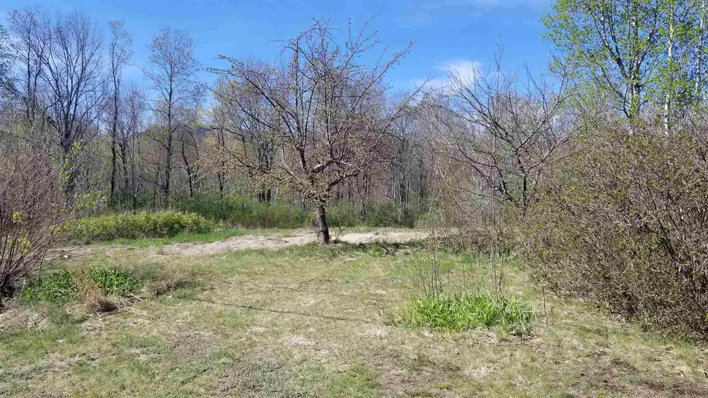 91 Village Road Shelburne NH 03258-1