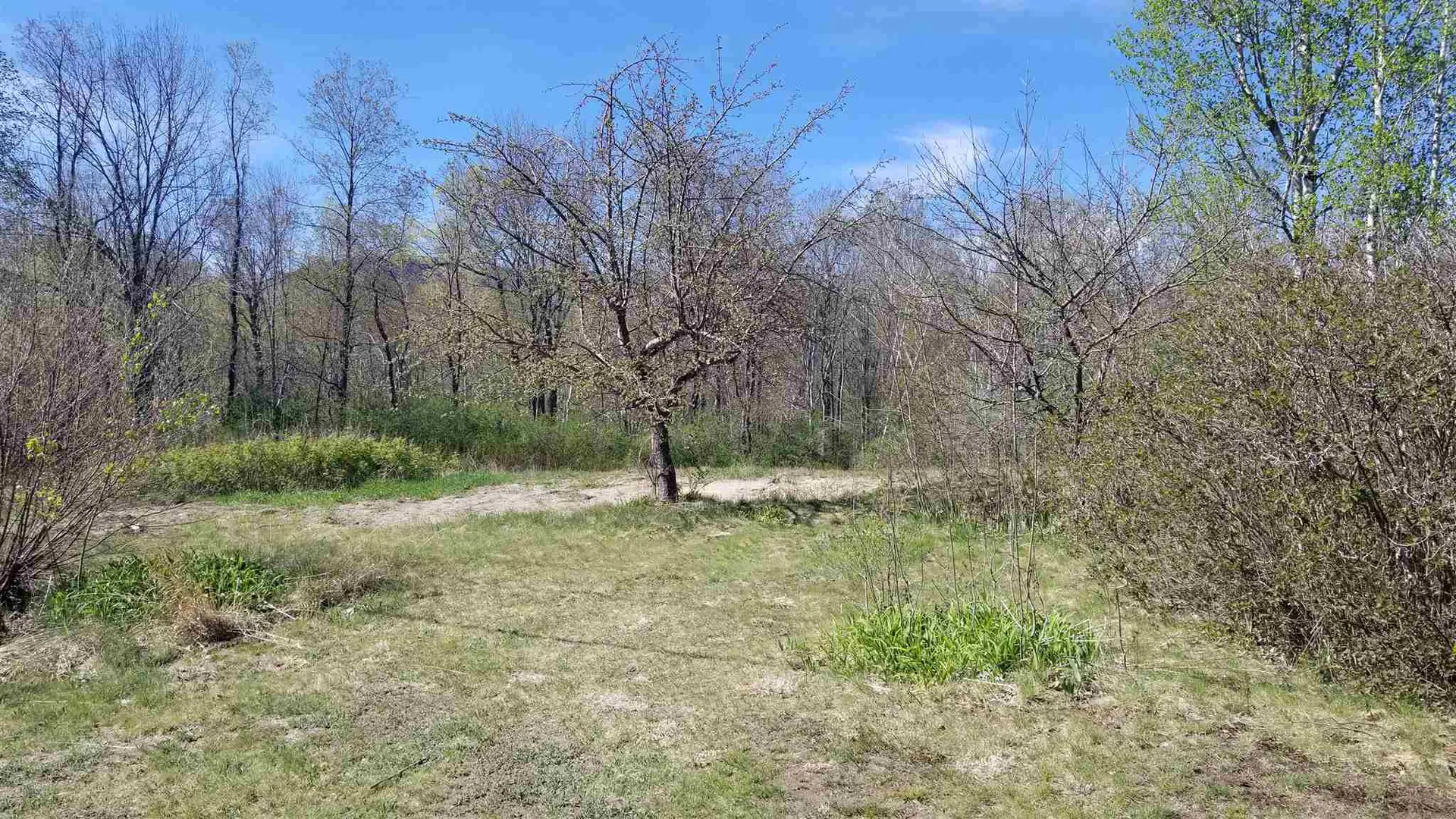 91 Village Road Shelburne NH 03258-1