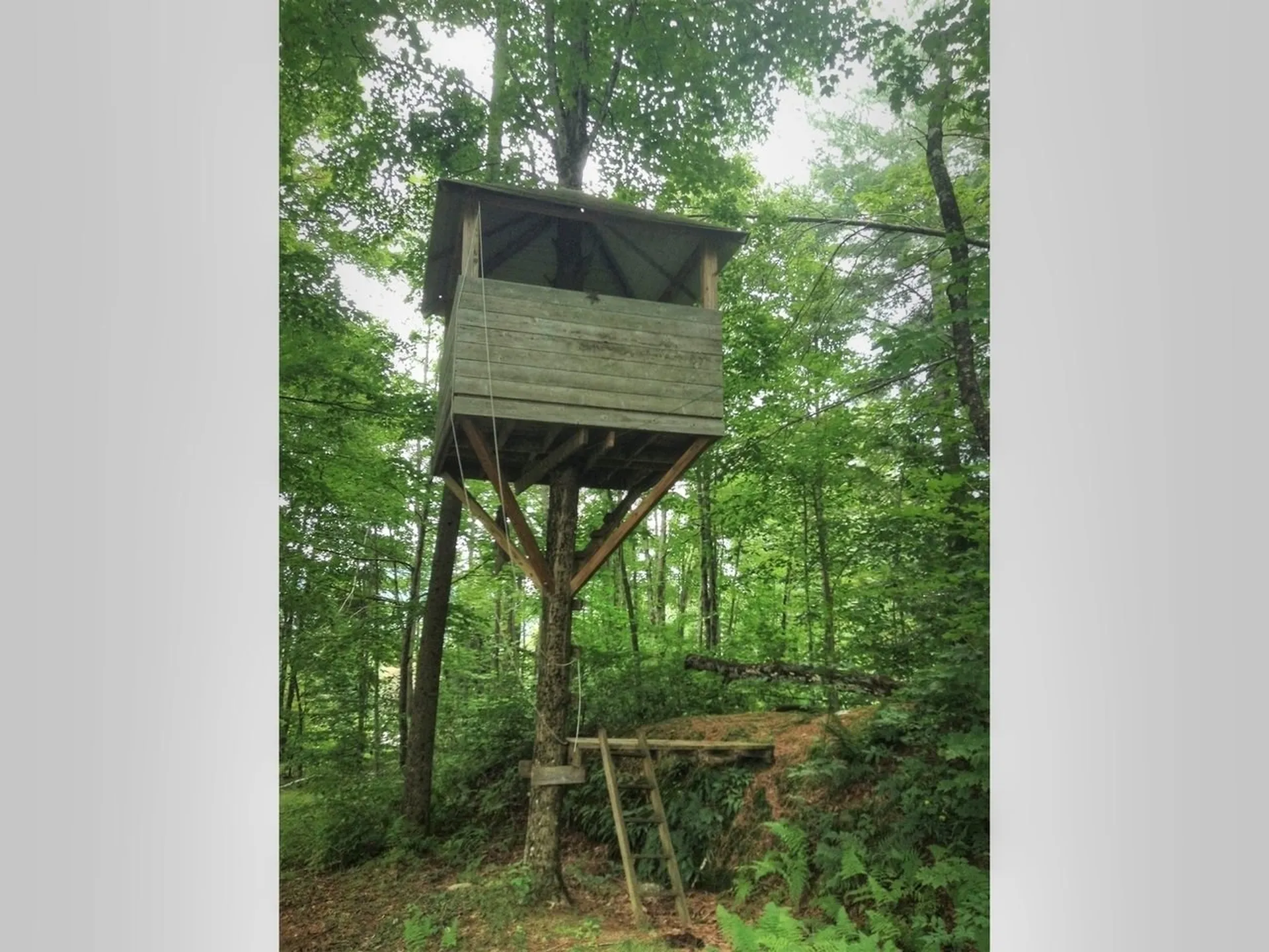 56 Evergreen Drive Huntington VT 05462