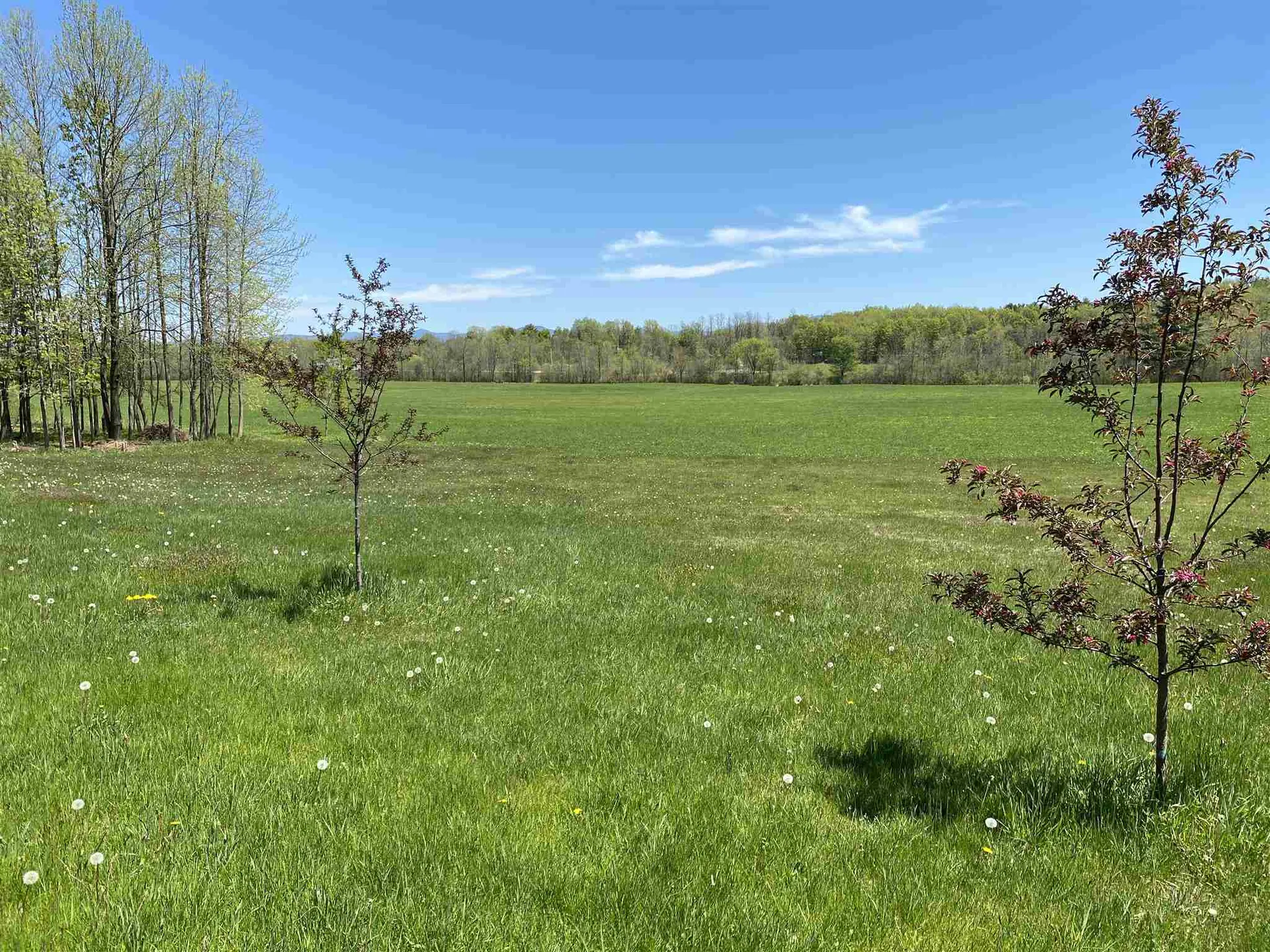 338 Parkhill Road Cornwall VT 05753