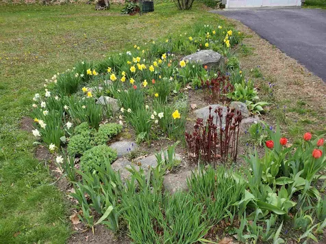 9 Dorrance Street Windsor VT 05089
