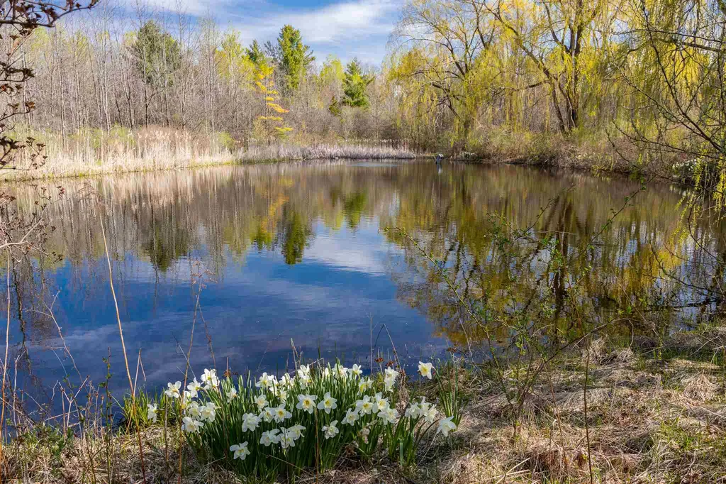 251 Tamarack Road Charlotte VT 05445