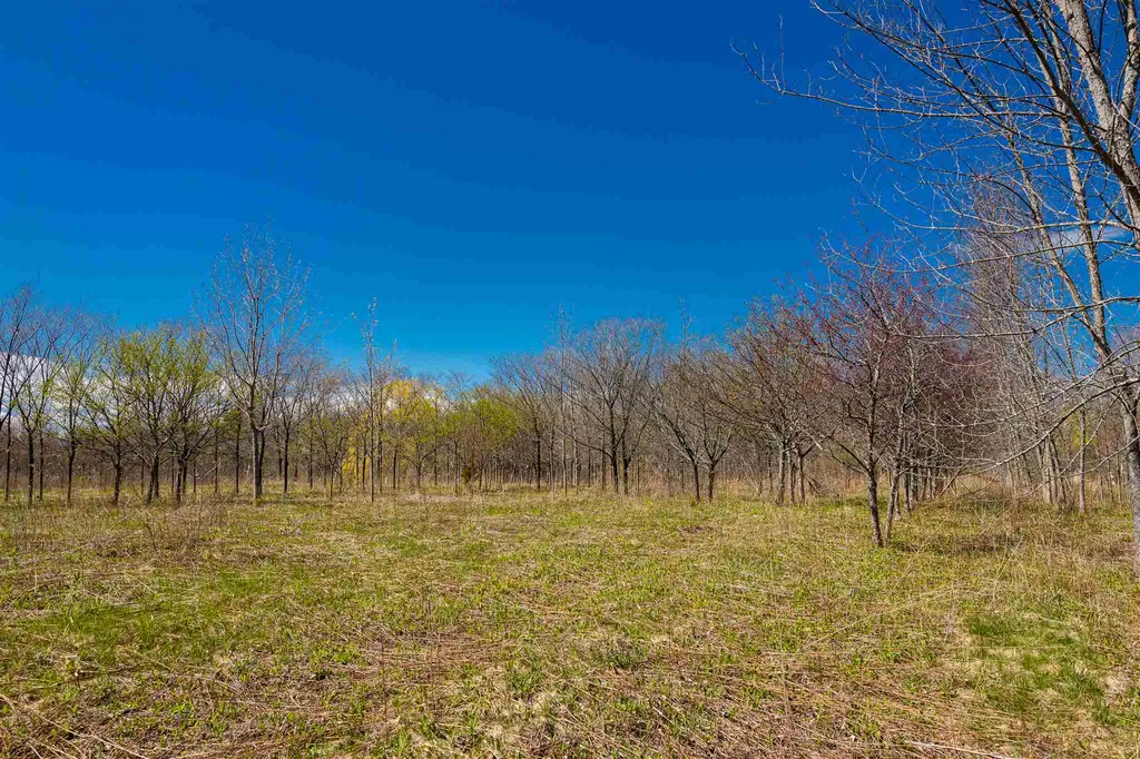 251 Tamarack Road Charlotte VT 05445