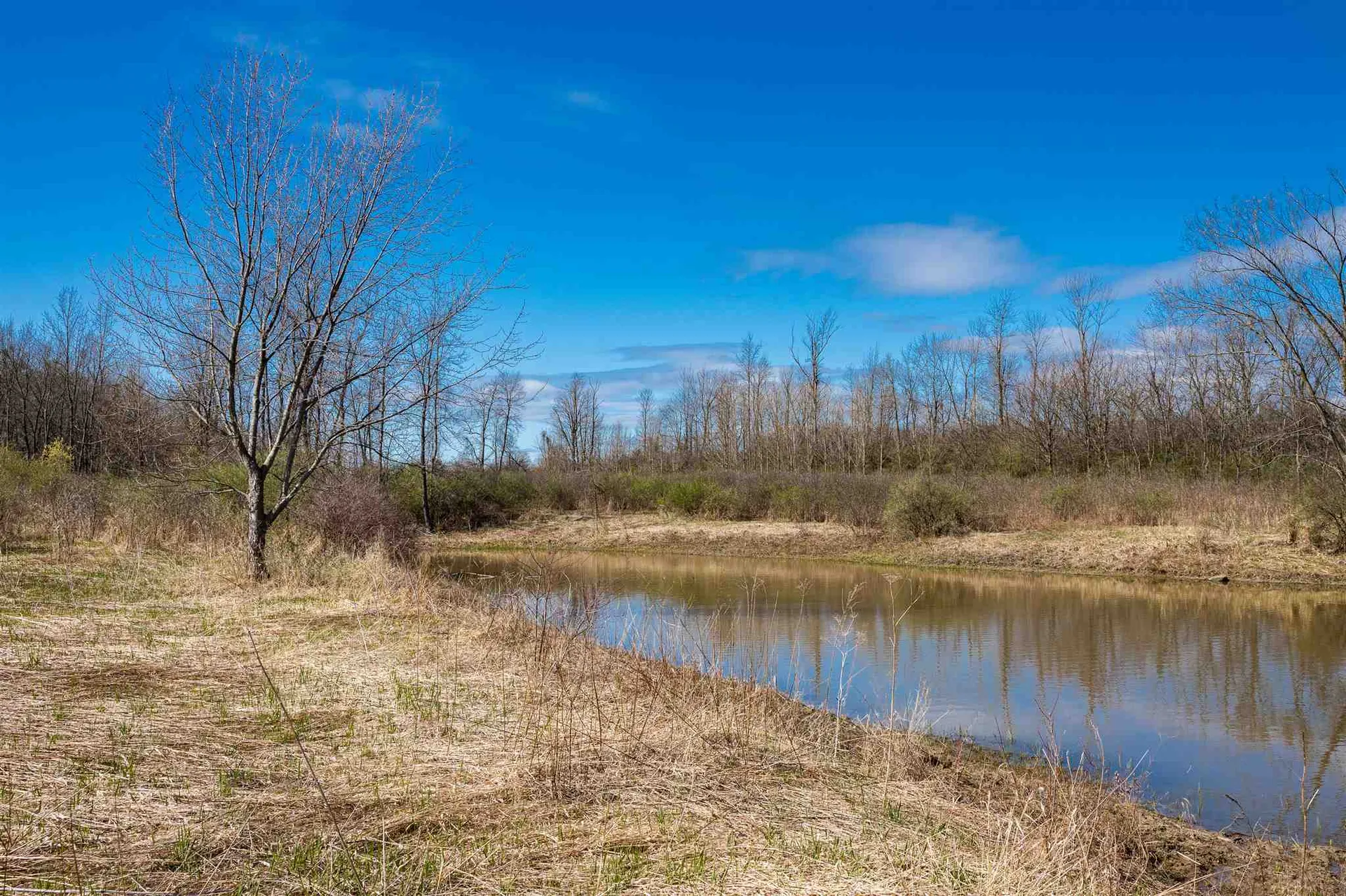 251 Tamarack Road Charlotte VT 05445