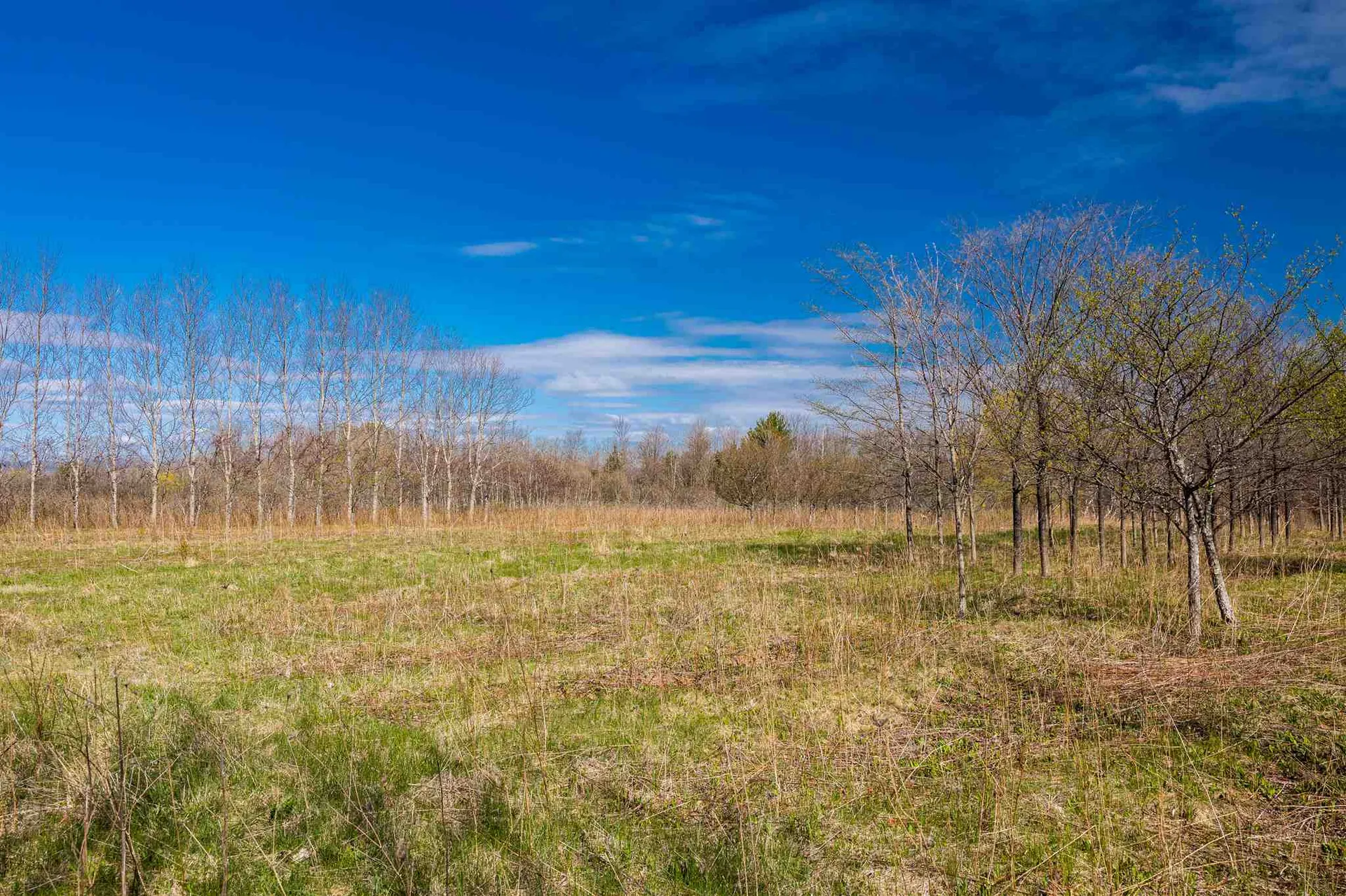 251 Tamarack Road Charlotte VT 05445