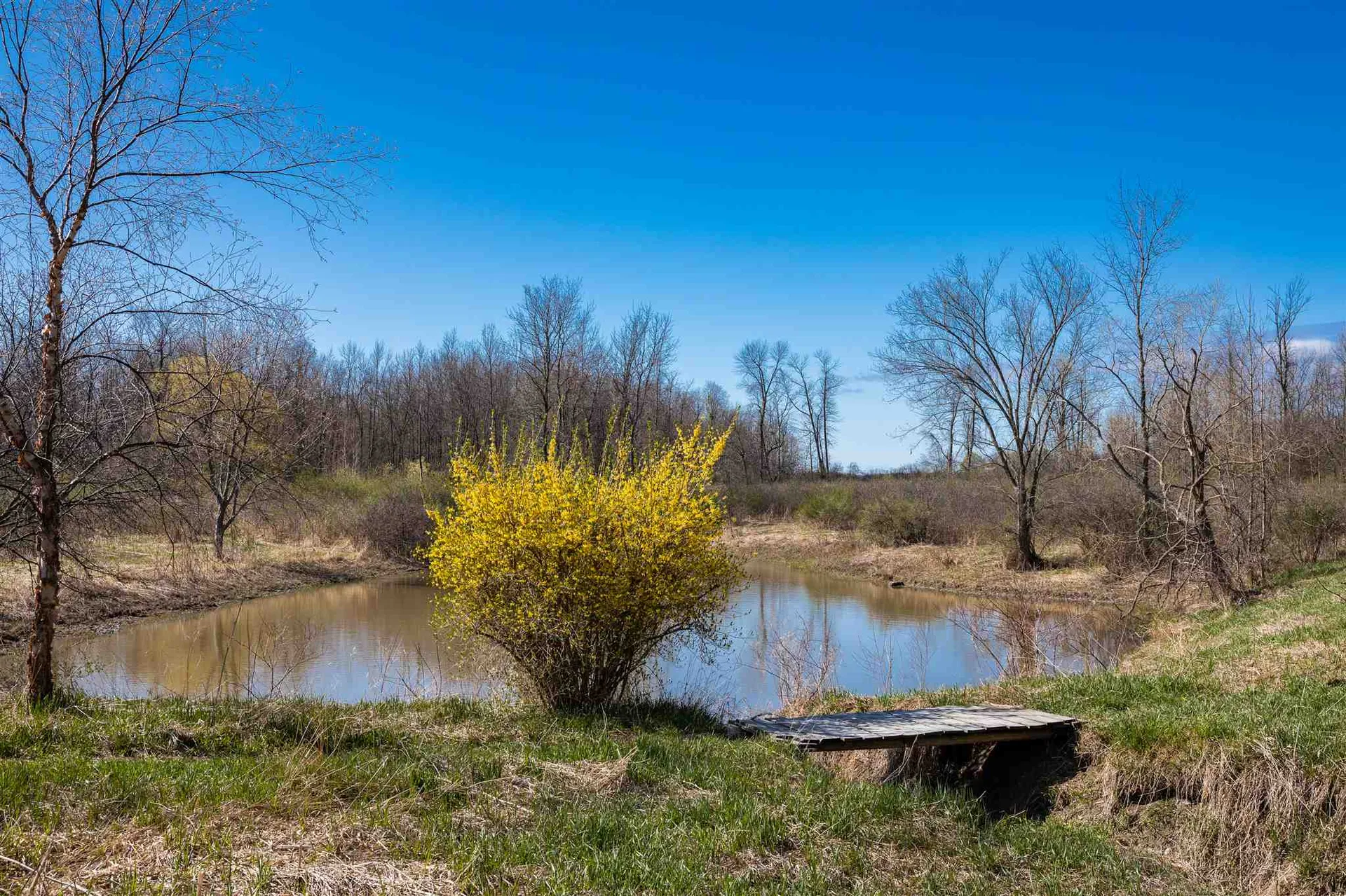 251 Tamarack Road Charlotte VT 05445