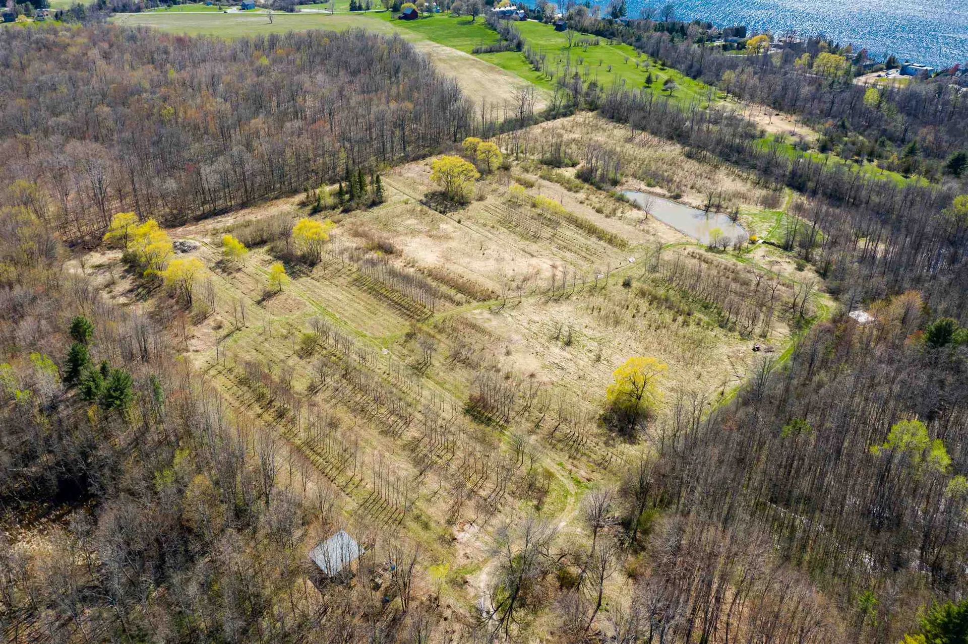 251 Tamarack Road Charlotte VT 05445