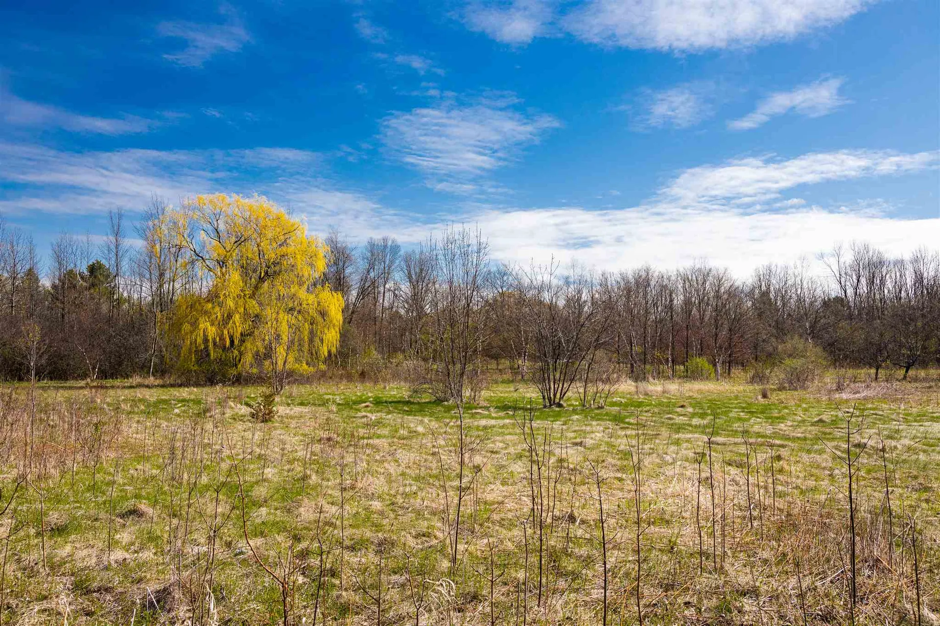 251 Tamarack Road Charlotte VT 05445