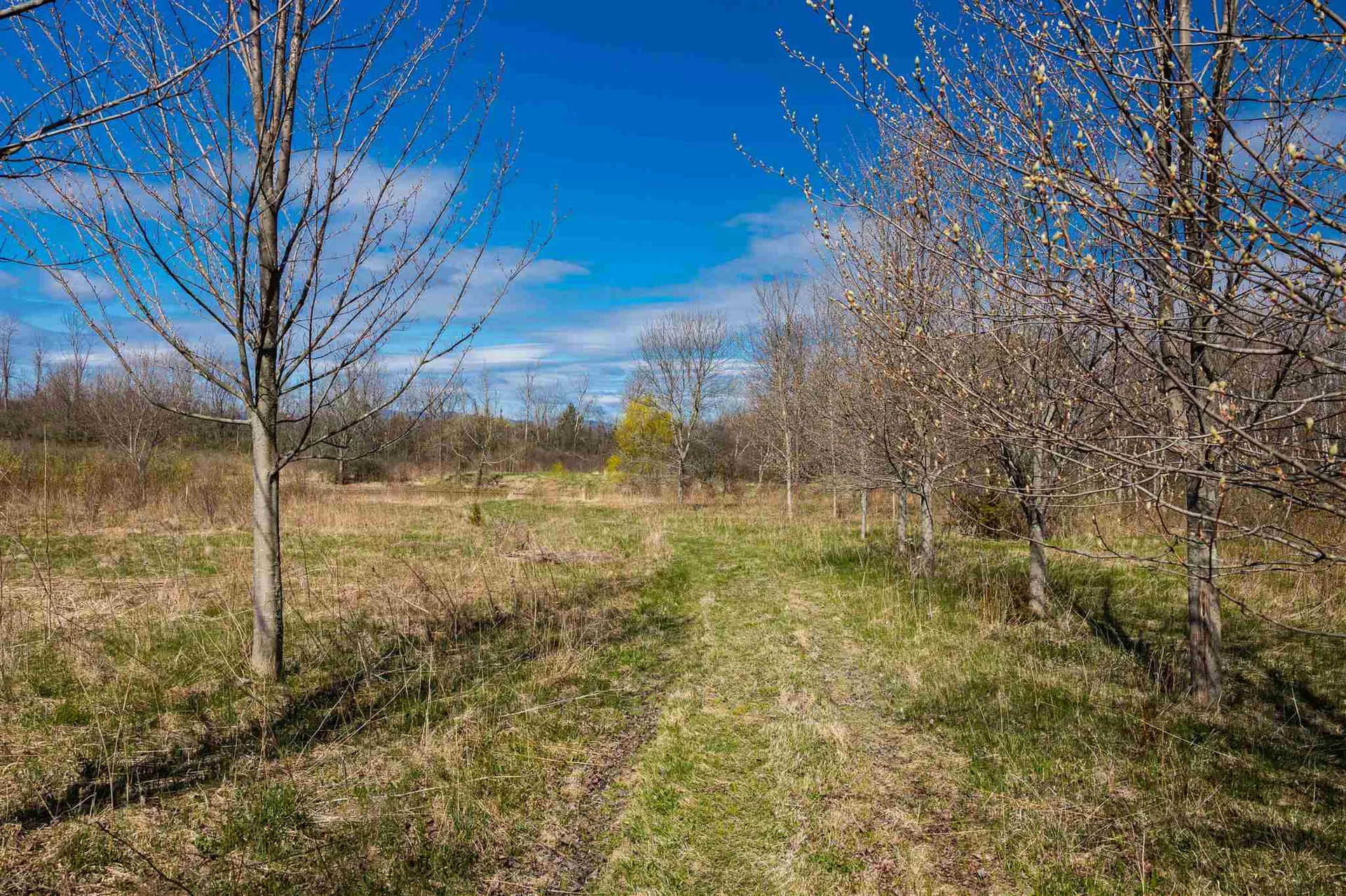 251 Tamarack Road Charlotte VT 05445