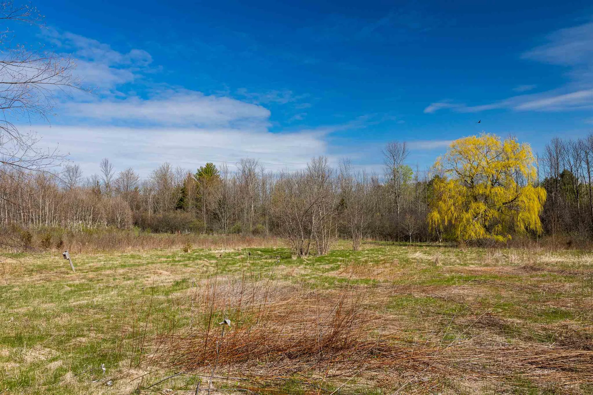 251 Tamarack Road Charlotte VT 05445