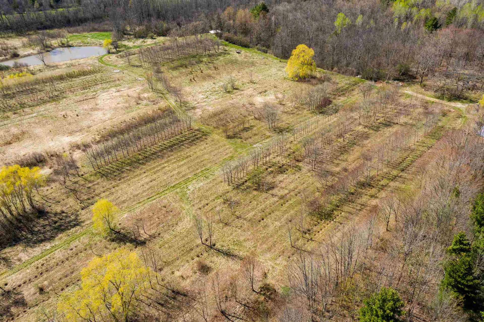 251 Tamarack Road Charlotte VT 05445