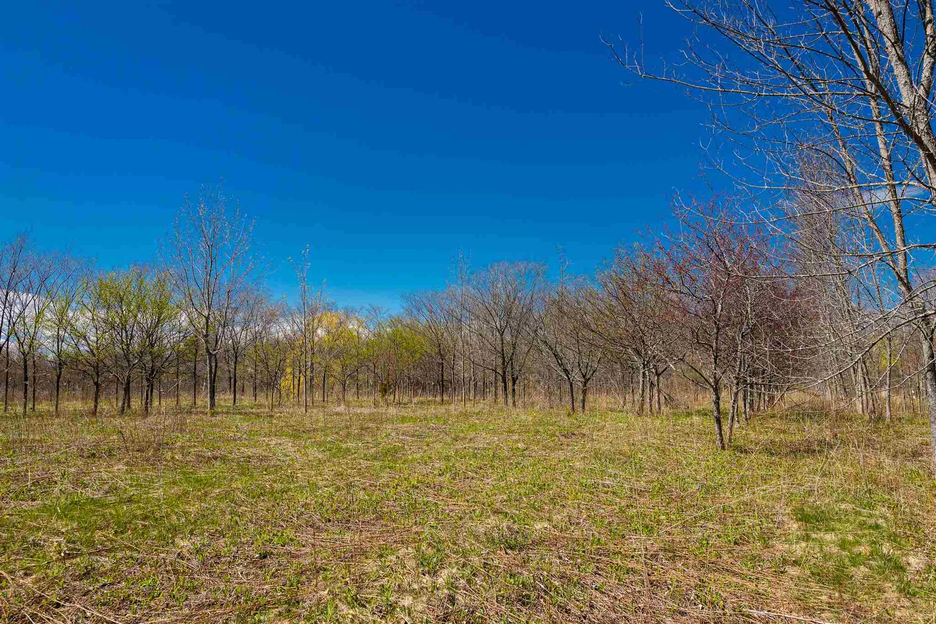 251 Tamarack Road Charlotte VT 05445