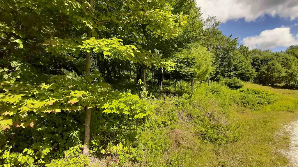 Preedom Hill Road Ludlow VT 05149