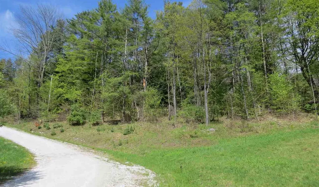 Preedom Hill Road Ludlow VT 05149