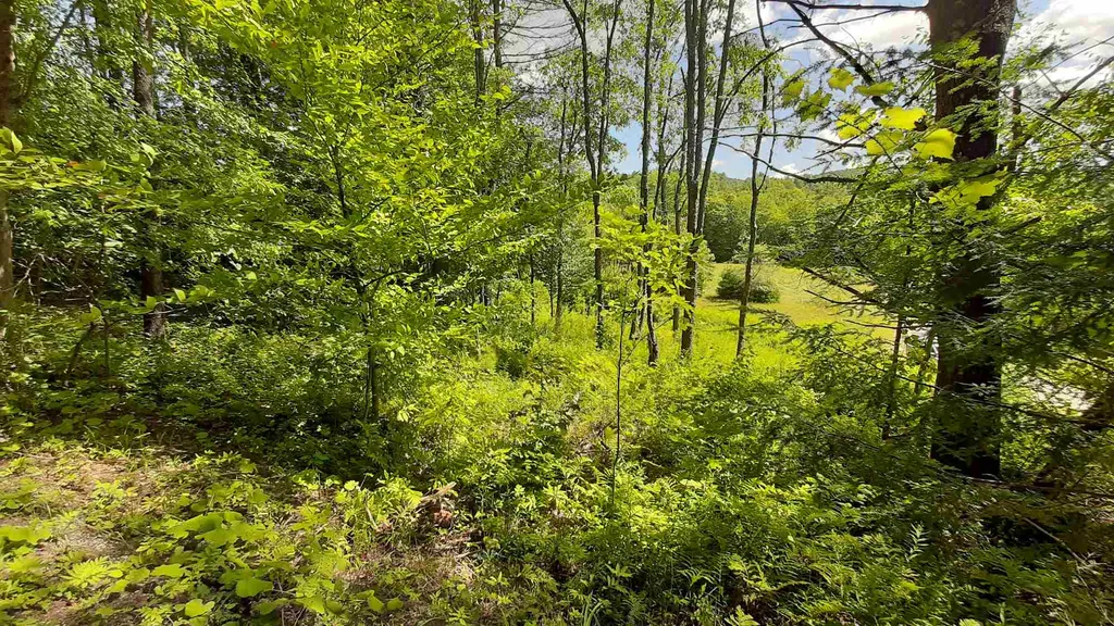 Preedom Hill Road Ludlow VT 05149