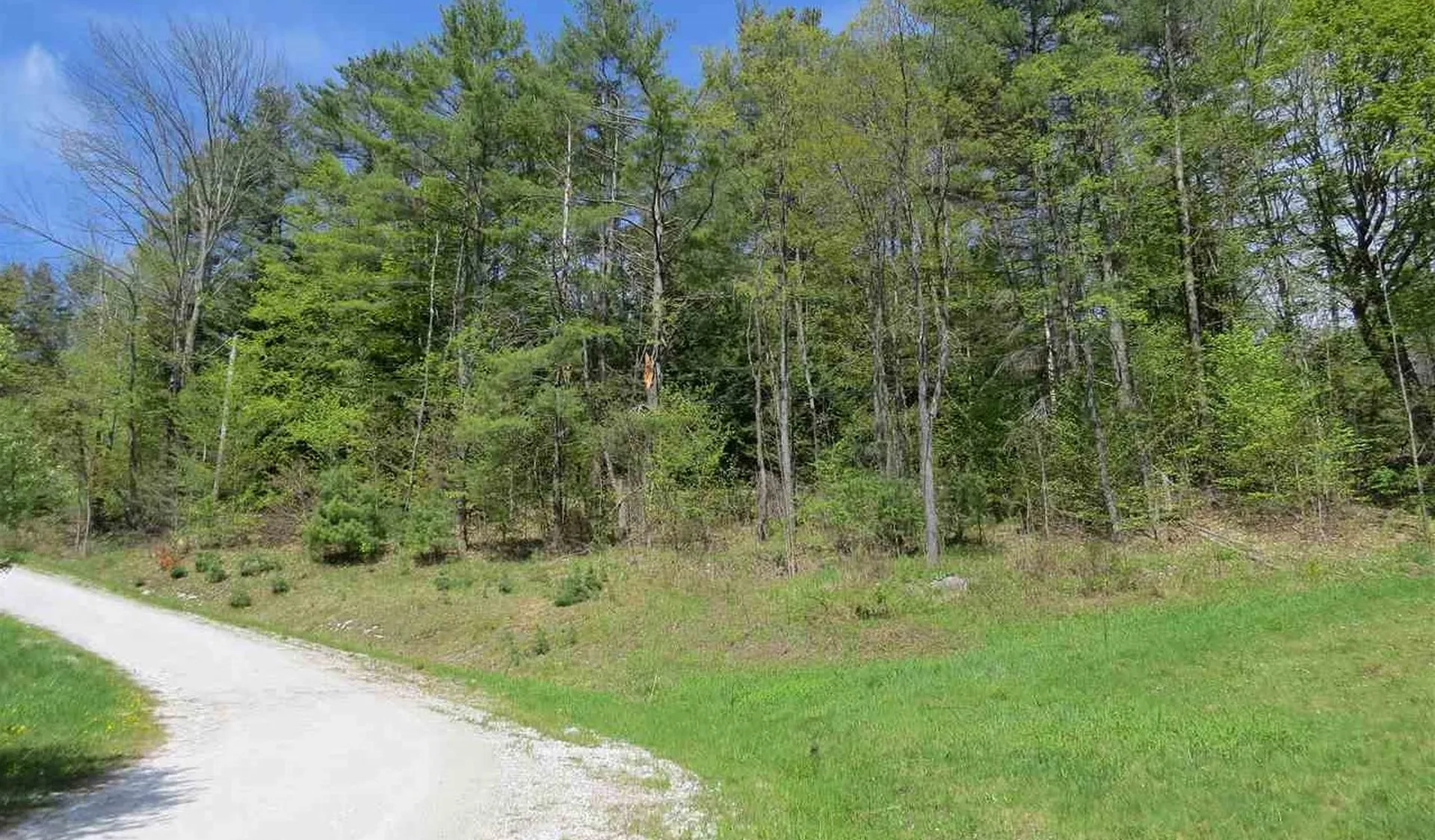 Preedom Hill Road Ludlow VT 05149