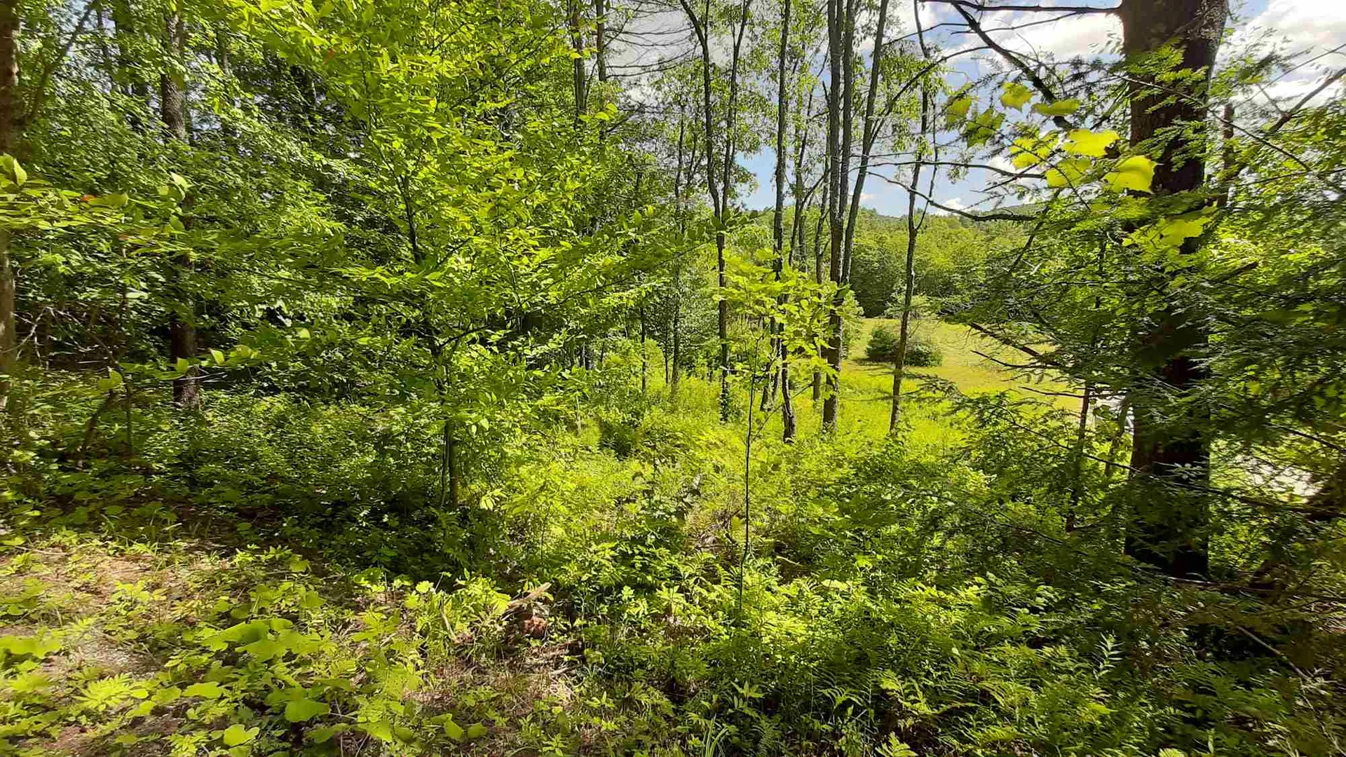 Preedom Hill Road Ludlow VT 05149