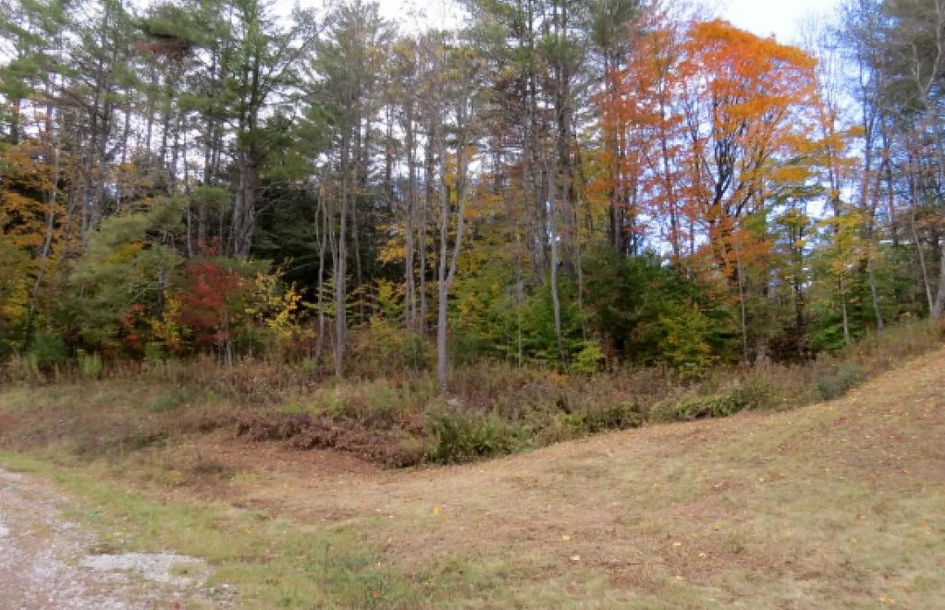 Preedom Hill Road Ludlow VT 05149
