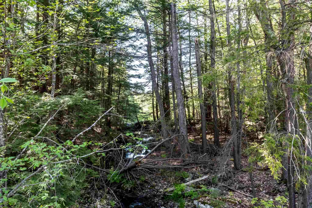 438 Bow Lake Road Northwood NH 03261