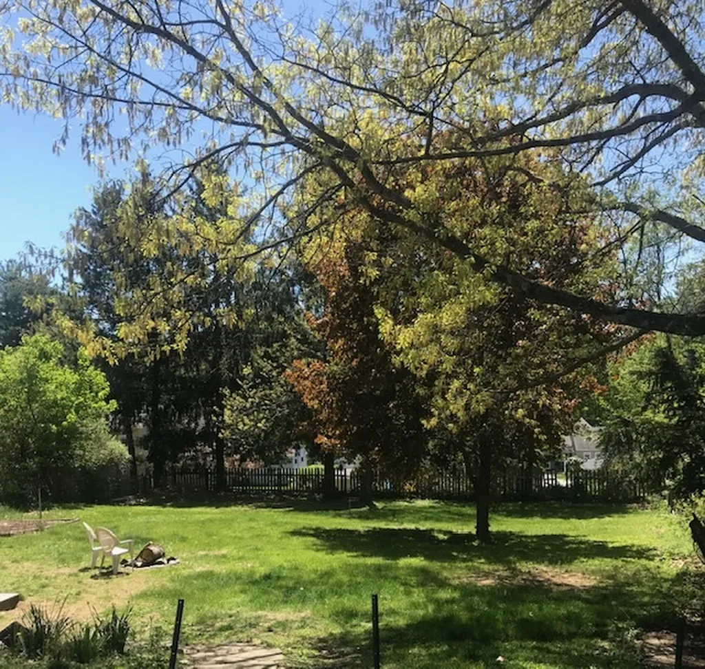 52 Glenwood Avenue Dover NH 03820
