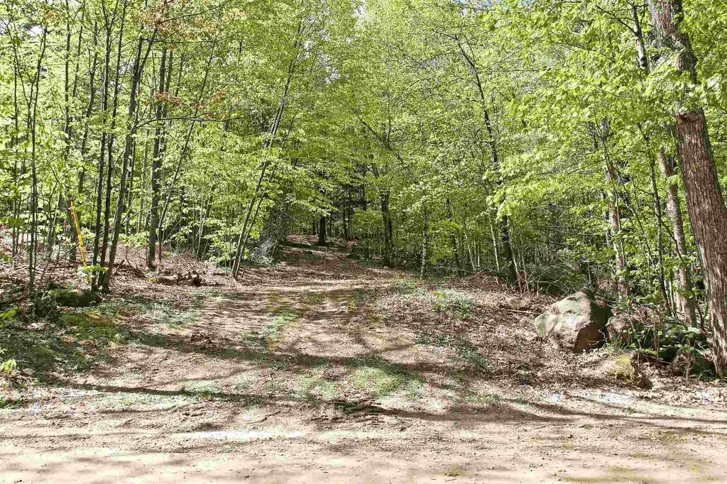 Map 33 Lot 33 Browns Pasture Road Strafford NH 03884