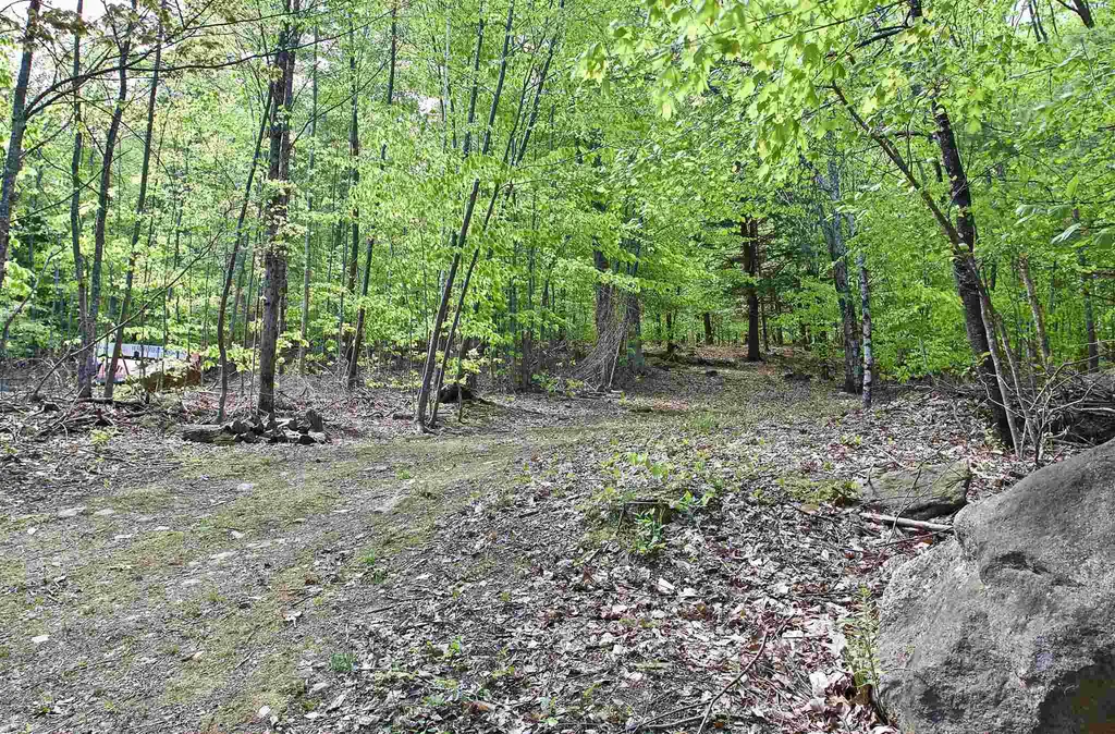 Map 33 Lot 33 Browns Pasture Road Strafford NH 03884