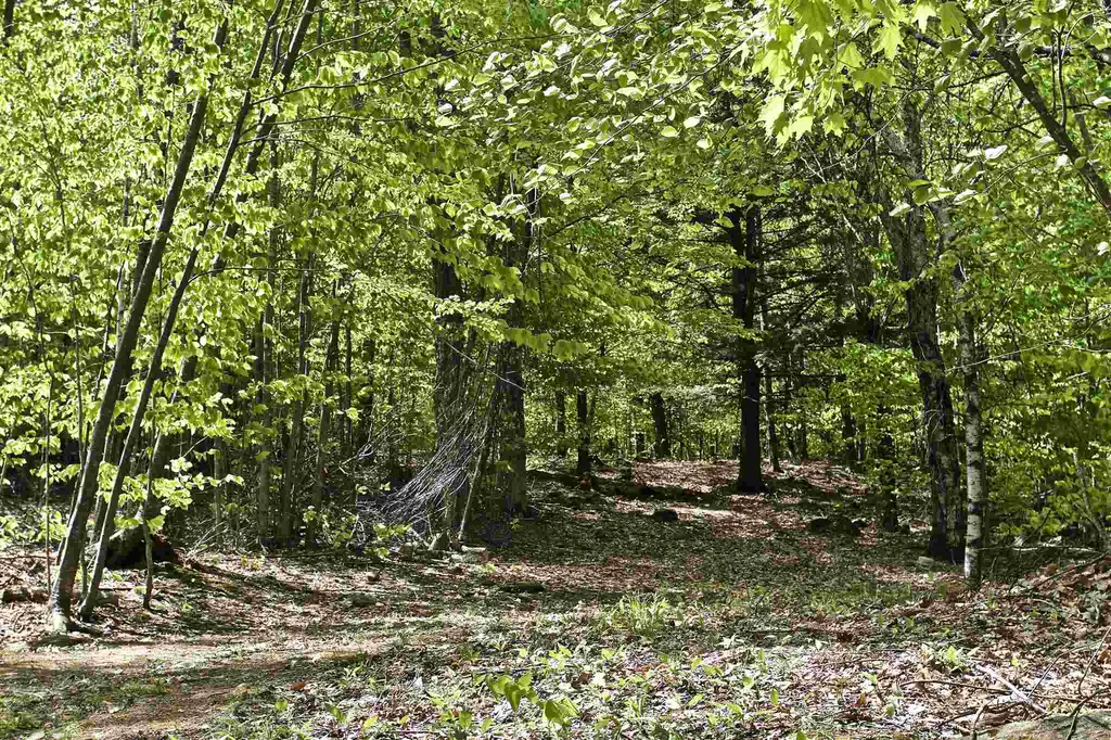 Map 33 Lot 33 Browns Pasture Road Strafford NH 03884