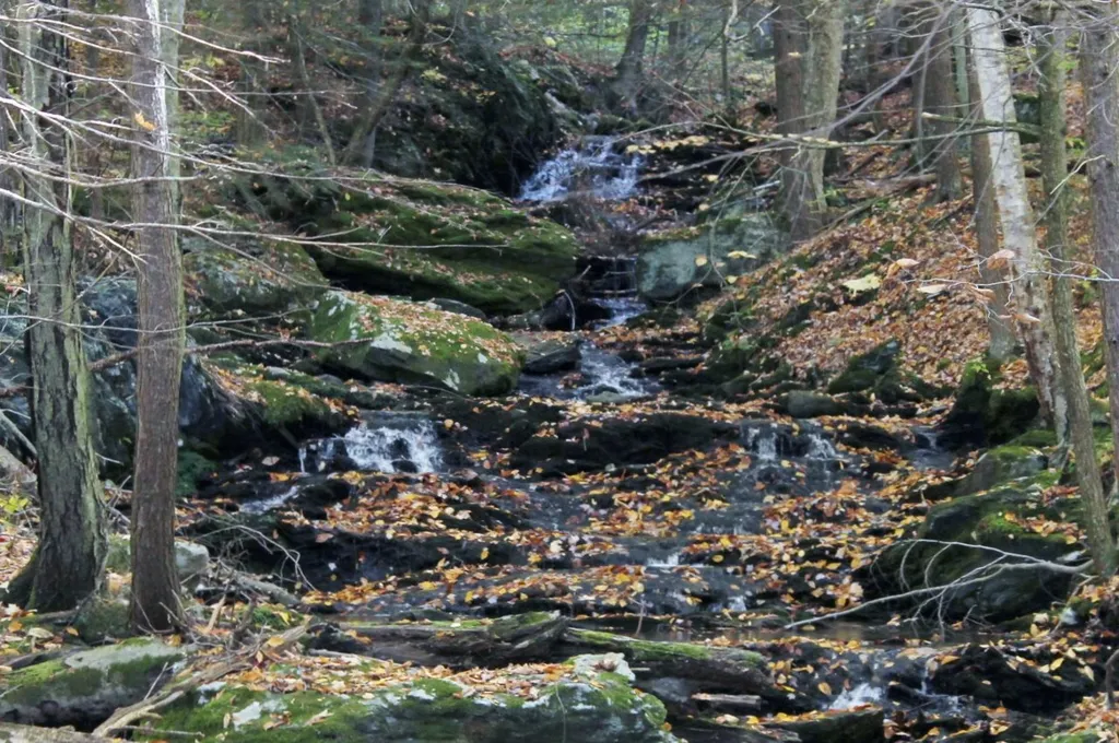 106 Blackberry Hill Road Hinesburg VT 05461