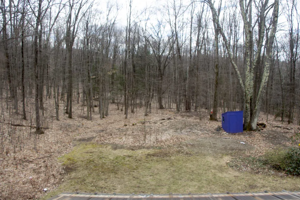 106 Blackberry Hill Road Hinesburg VT 05461