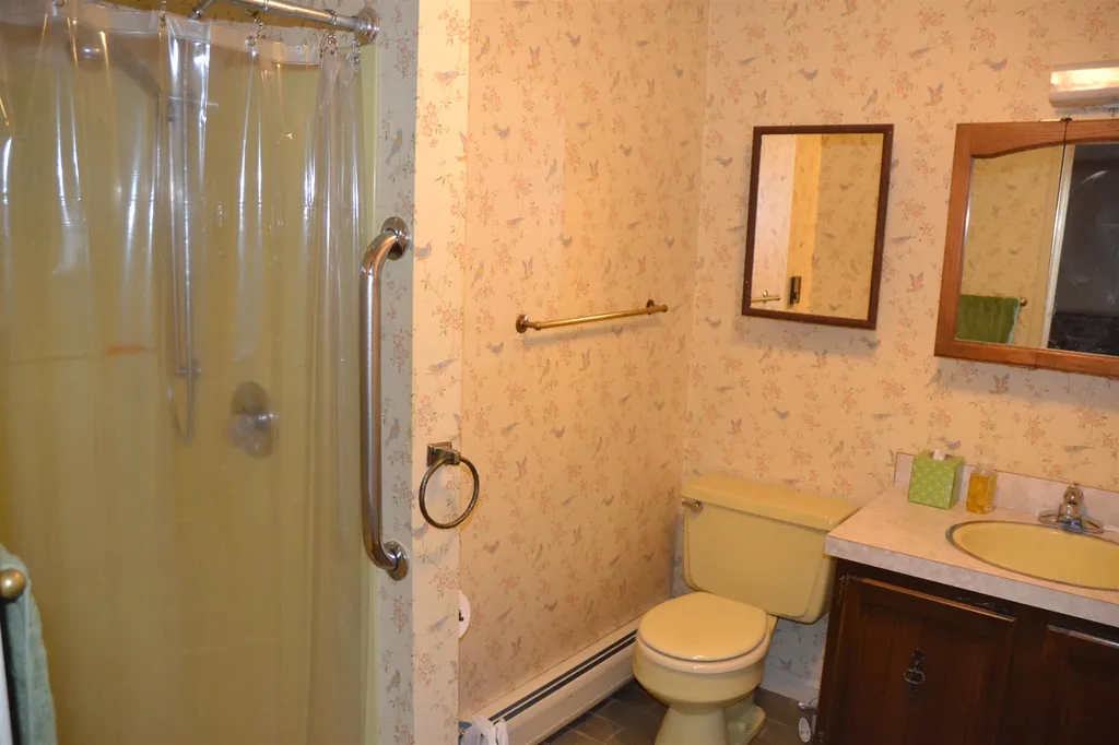 5 Treadwell Lane Wolfeboro NH 03894