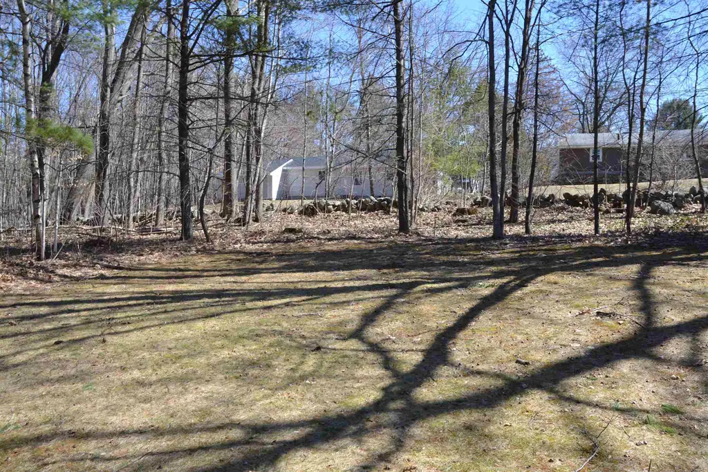 5 Treadwell Lane Wolfeboro NH 03894
