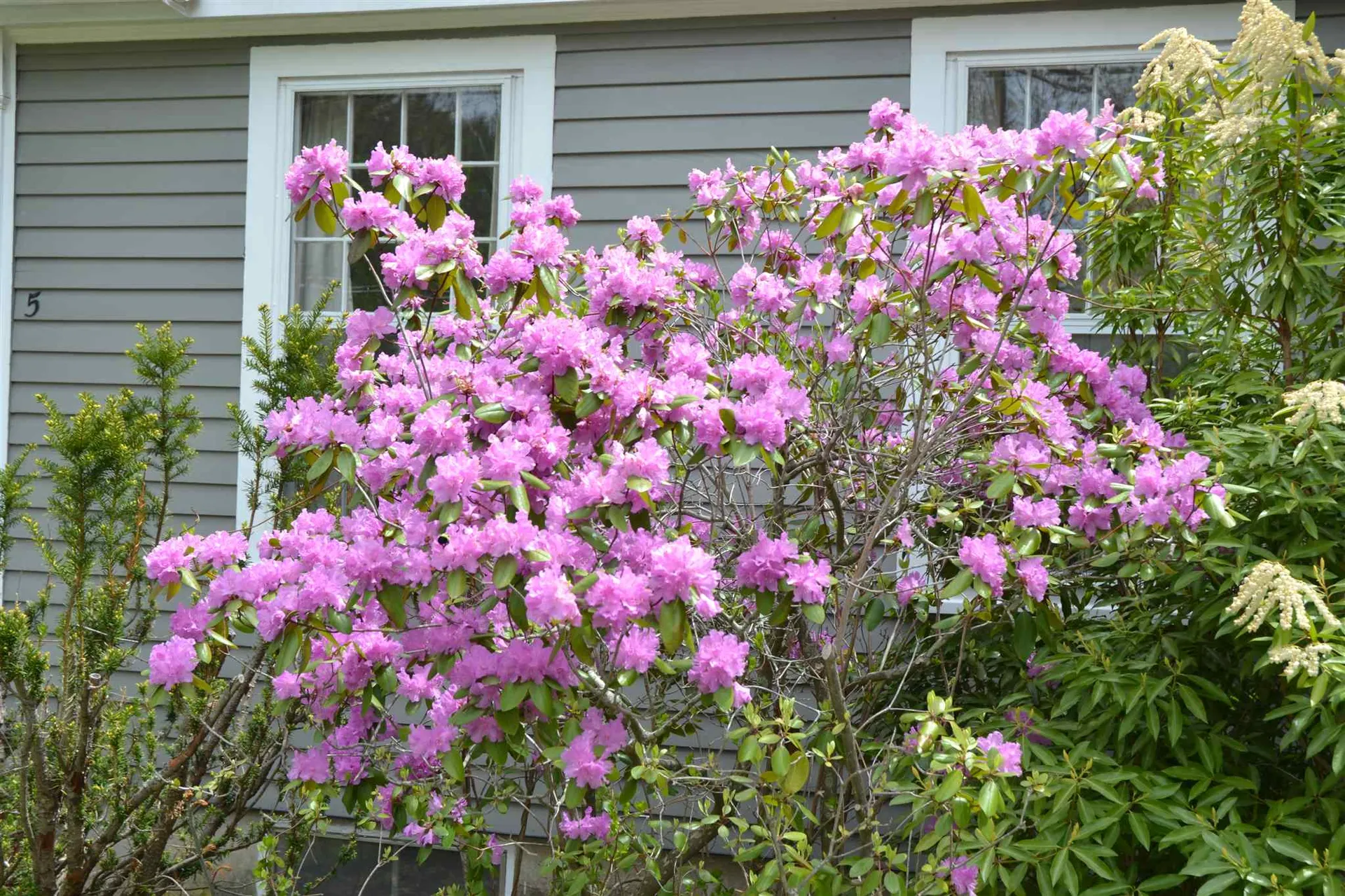 5 Treadwell Lane Wolfeboro NH 03894