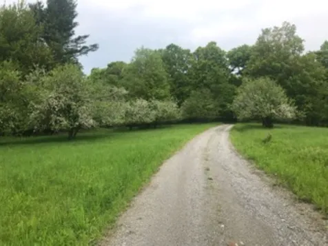 677 Buck Hollow Road Fairfield VT 05455