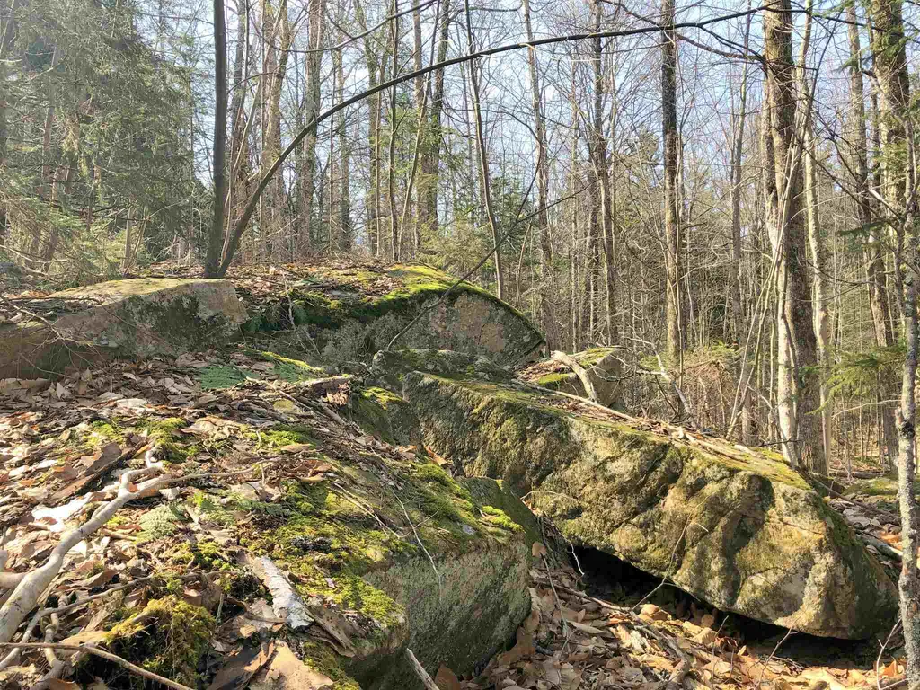 Vt Route 155 Mount Holly VT 05758