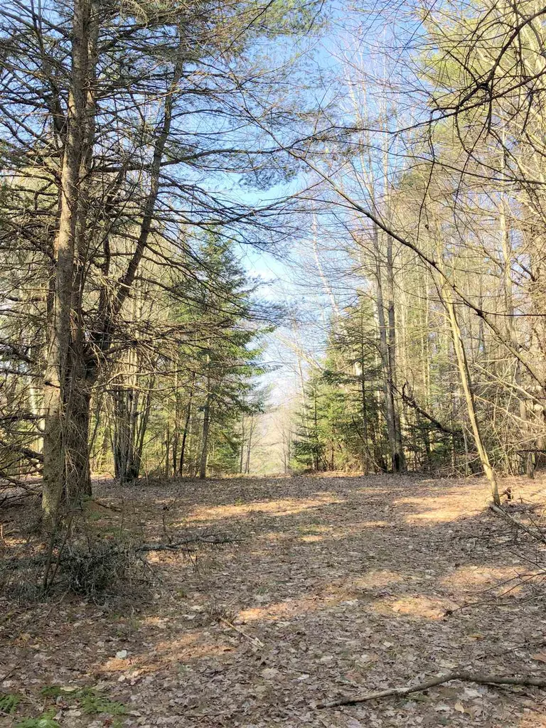 Vt Route 155 Mount Holly VT 05758