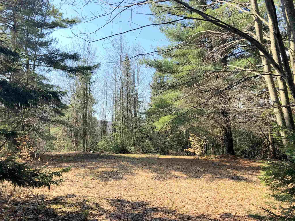 Vt Route 155 Mount Holly VT 05758
