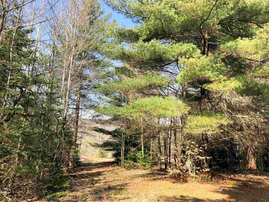 Vt Route 155 Mount Holly VT 05758