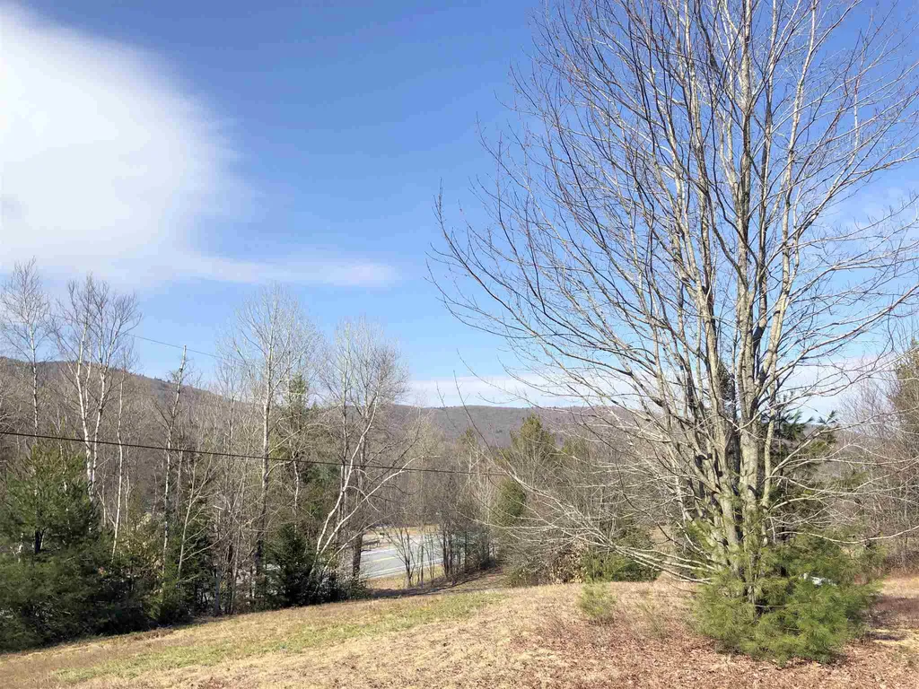 Vt Route 155 Mount Holly VT 05758