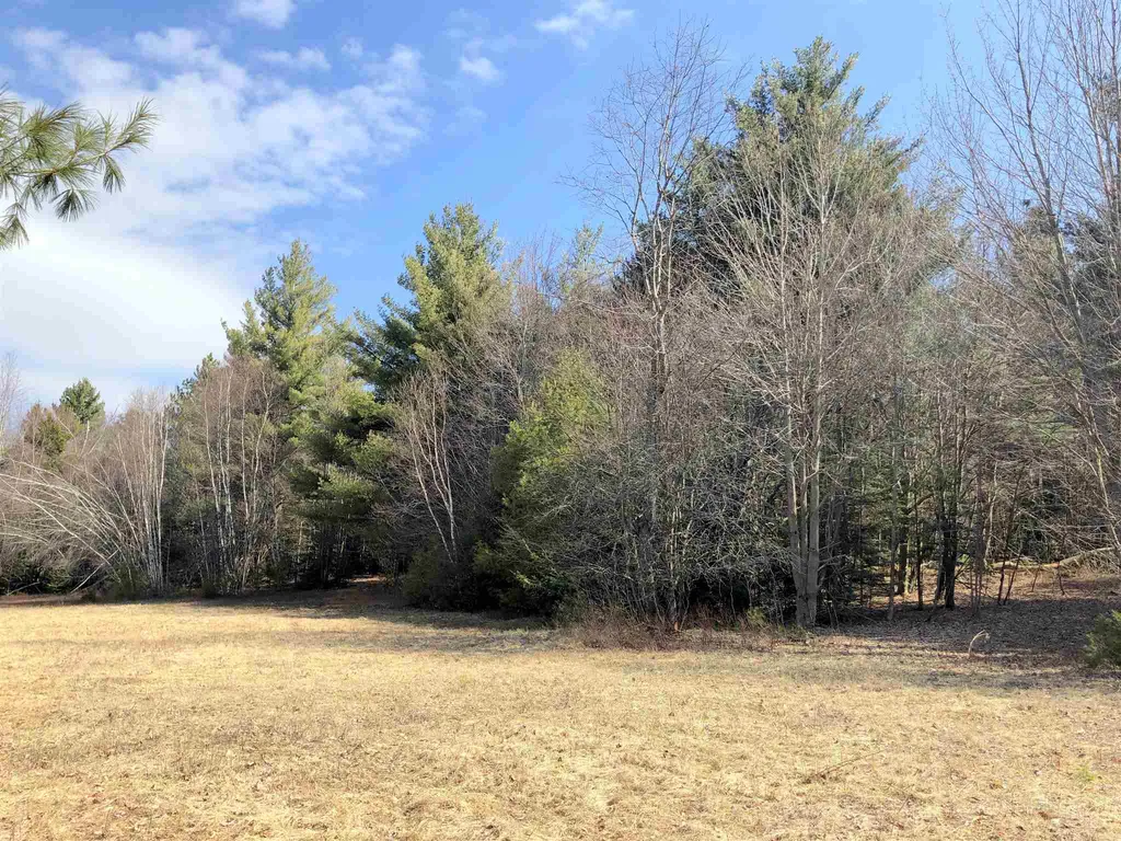 Vt Route 155 Mount Holly VT 05758