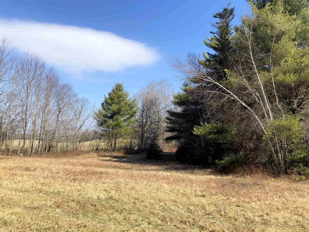 Vt Route 155 Mount Holly VT 05758