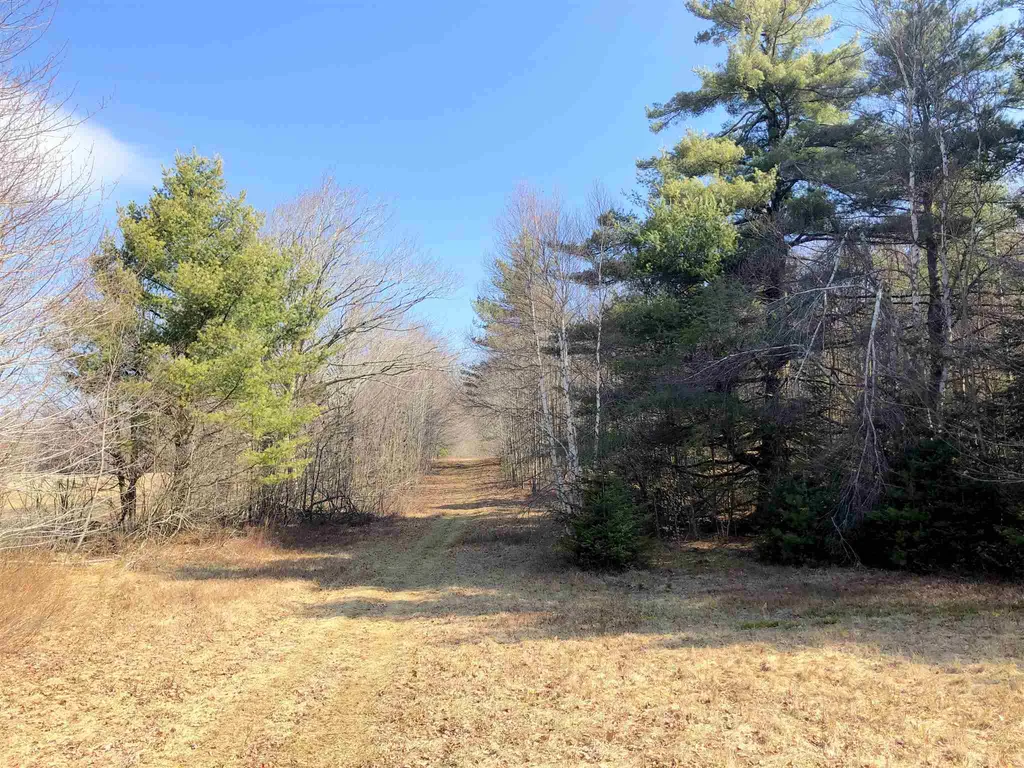 Vt Route 155 Mount Holly VT 05758