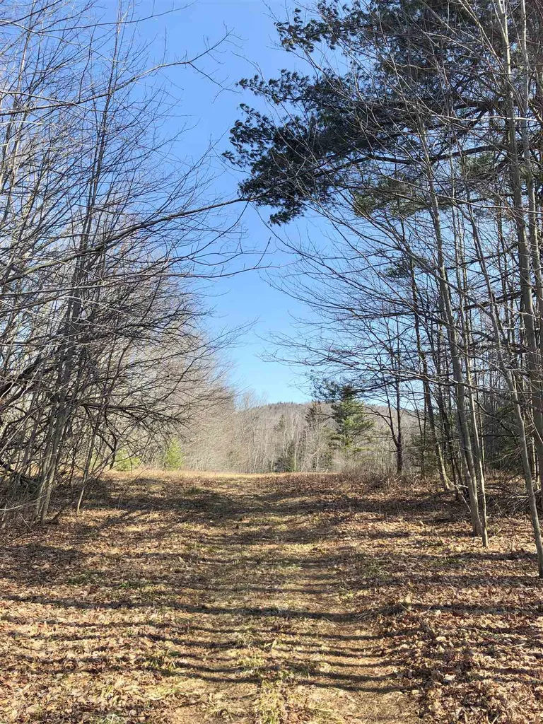 Vt Route 155 Mount Holly VT 05758
